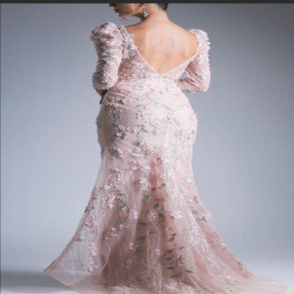 Andrea & Leo Gown size 6